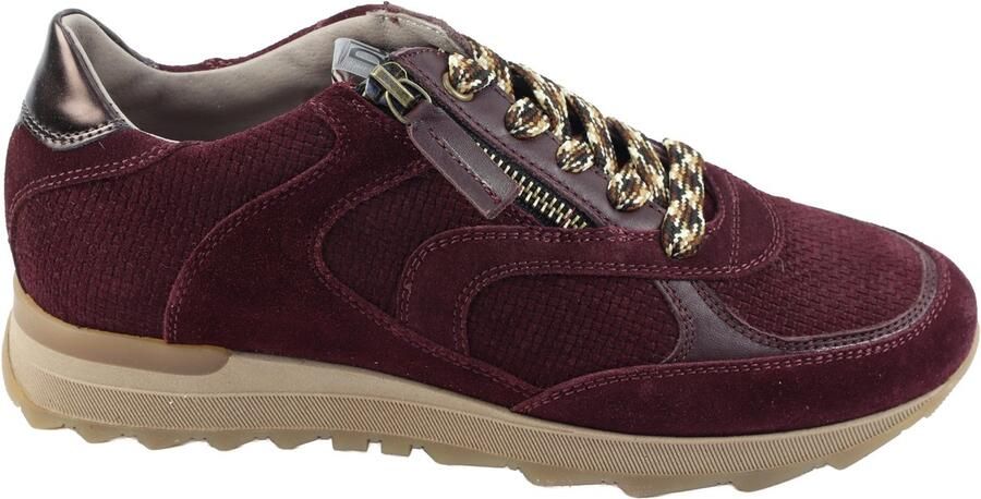 DL Sport 7141 Sneakers bordo