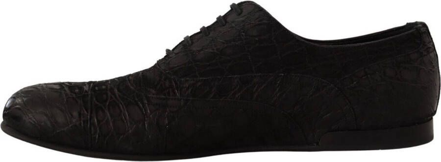 Dolce & Gabbana Verhoog je formele outfit met echte caiman lederen zakelijke schoenen Black Heren