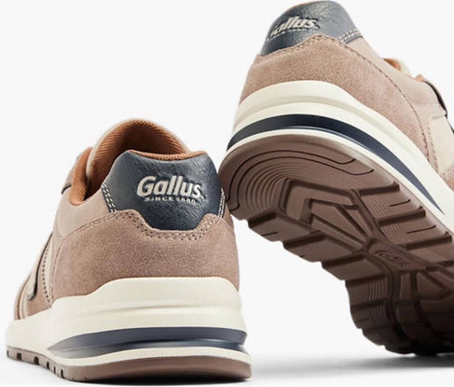 Gallus Taupe sneaker