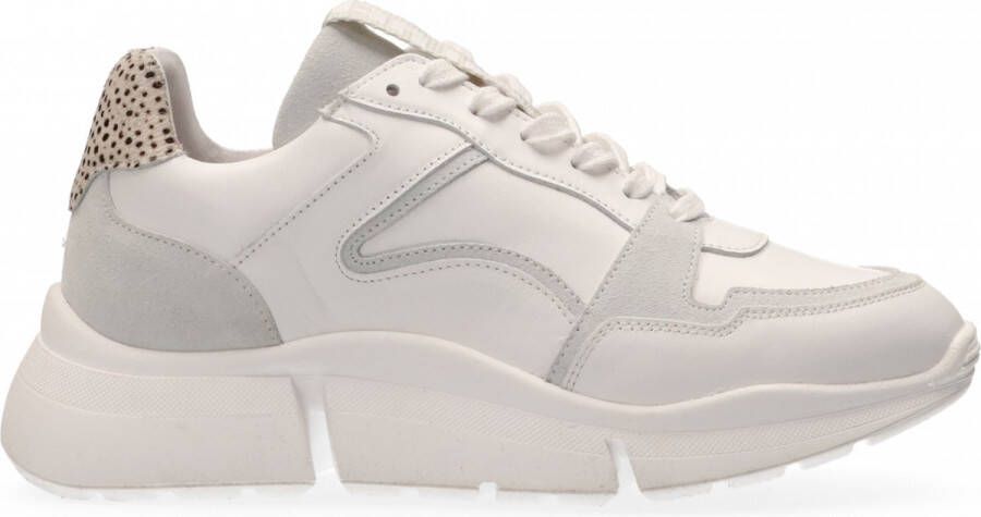 Maruti Cody Sneakers Wit White