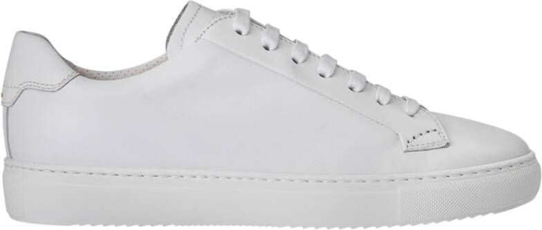 Doucal's Sneakers White Heren