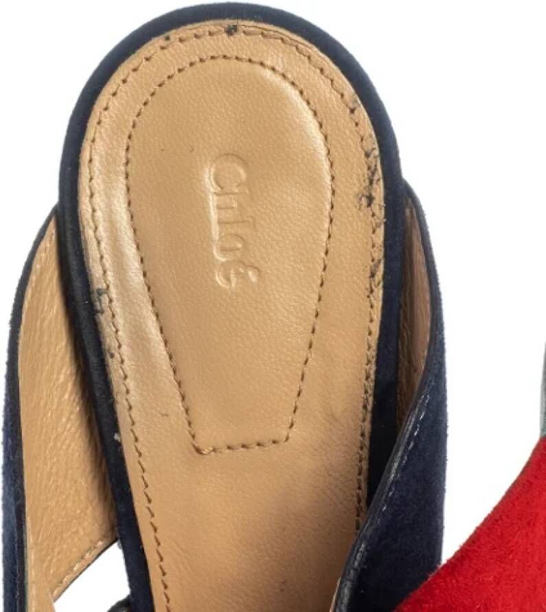 Chloé Pre-owned Suede sandals Multicolor Dames