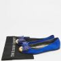 Giuseppe Zanotti Pre-owned Suede flats Blue Dames - Thumbnail 9
