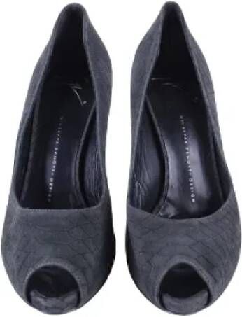 Giuseppe Zanotti Pre-owned Suede heels Gray Dames
