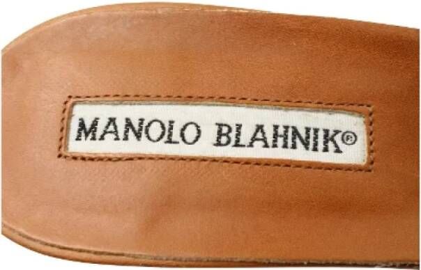 Manolo Blahnik Pre-owned Leather mules Brown Dames
