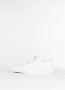 Vivienne Westwood Plimsoll lage top 2.0 sneakers White Heren - Thumbnail 2