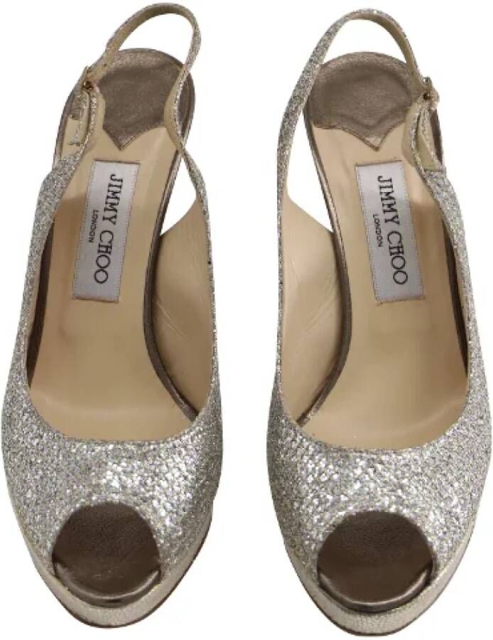 Jimmy Choo Pre-owned Pumps Gray Dames