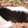 Adidas TERREX Tracerocker 2.0 GORE-TEX Trail Running Schoenen Dames Paars - Thumbnail 22