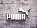 Ontstaan uit een broederruzie: Puma en Adidas