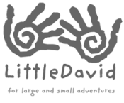 Little David logo