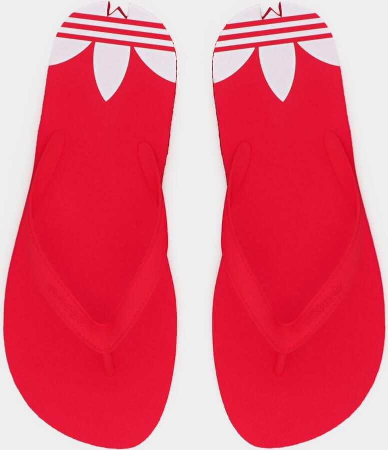 ADIDAS ORIGINALS Strand- badschoen 'Adi Sun' rood - Foto 2