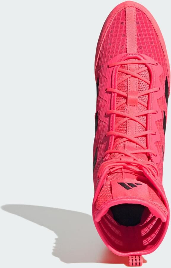ADIDAS PERFOR CE Sportschoen 'Box Hog 4' framboos zwart - Foto 2