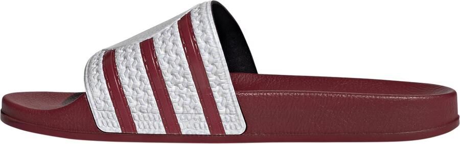 ADIDAS PERFOR CE Strand- badschoen 'Trefoil' bourgogne wit - Foto 8