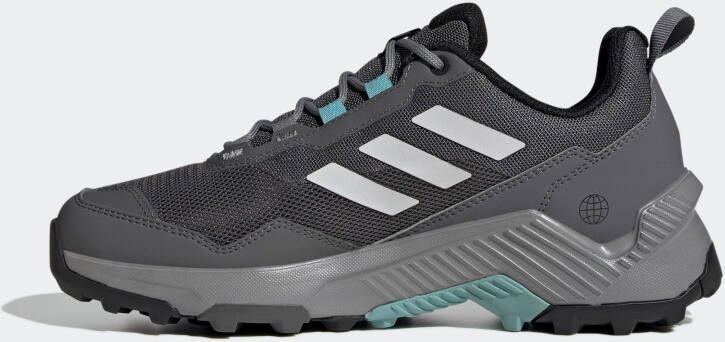 adidas Terrex Lage schoen