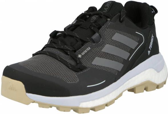 adidas Terrex Lage schoen 'TERREX SKYCHASER 2 GTX W'