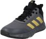 Adidas Own The Game 2.0 Basketbalschoenen Kid Grey Five Matte Gold Core Black Kinderen - Thumbnail 5
