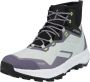 Adidas Terrex Women's Terrex Hiker Rain Ready Wandelschoenen grijs - Thumbnail 4