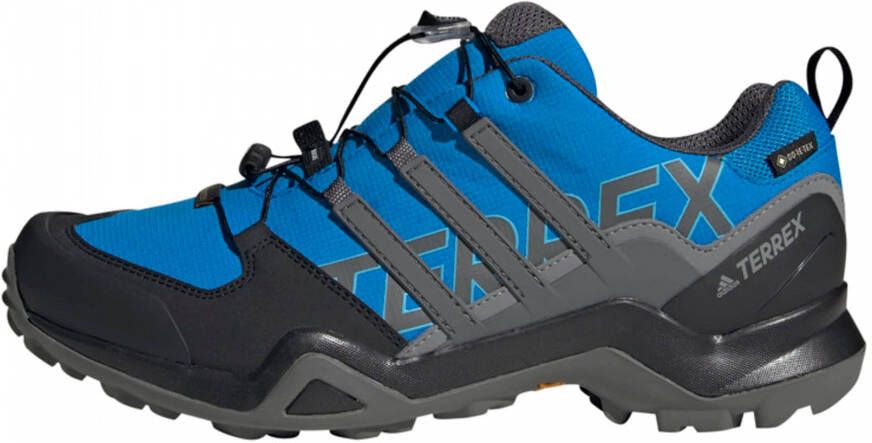 adidas Terrex Lage schoen