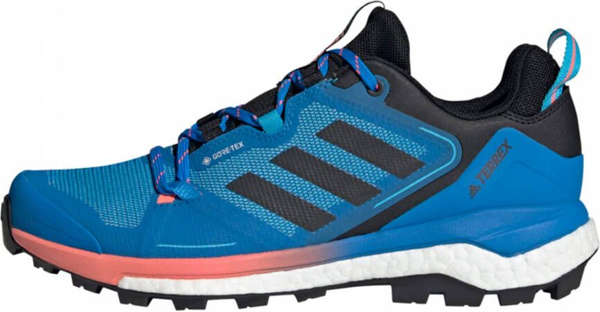 adidas Terrex Lage schoen