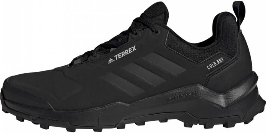 adidas Terrex Lage schoen