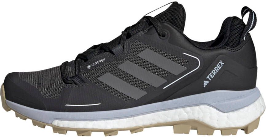 adidas Terrex Lage schoen