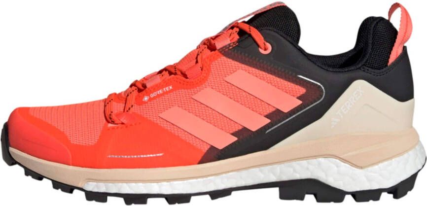 adidas Terrex Lage schoen 'Skychaser'