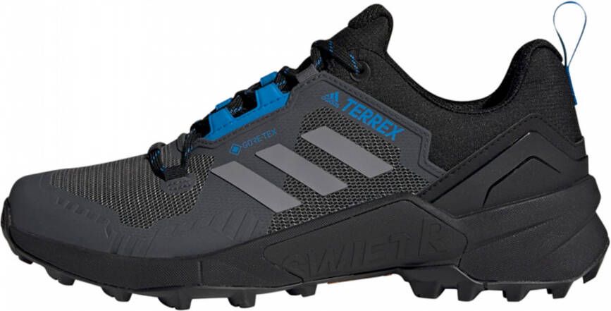 adidas Terrex Lage schoen 'Swift R3'