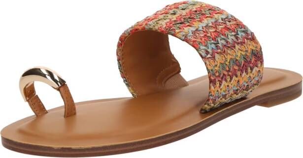 ALDO Teenslipper 'BEACHWALK'