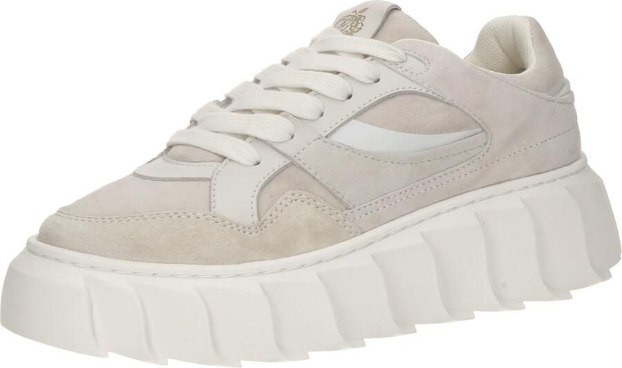 Apple of Eden Sneakers laag 'BERNA' beige lichtgrijs