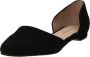Apple of Eden Ballerina 'BLONDI' - Thumbnail 1