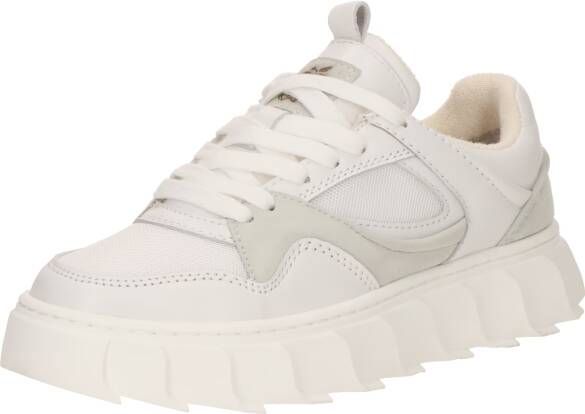 Apple of Eden Sneakers laag 'LIMA 14'