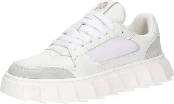 Apple of Eden Sneakers laag 'LONDON'