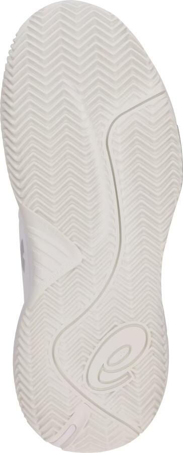 ASICS Sportschoen 'GEL-CHALLENGER 15 CLAY' zilvergrijs zilver wit - Foto 5