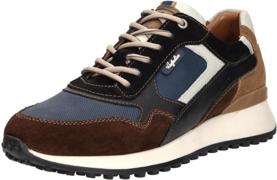 Australian Yamato blue brown tan multi blauw - Foto 10