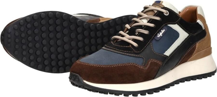 Australian Yamato blue brown tan multi blauw - Foto 13