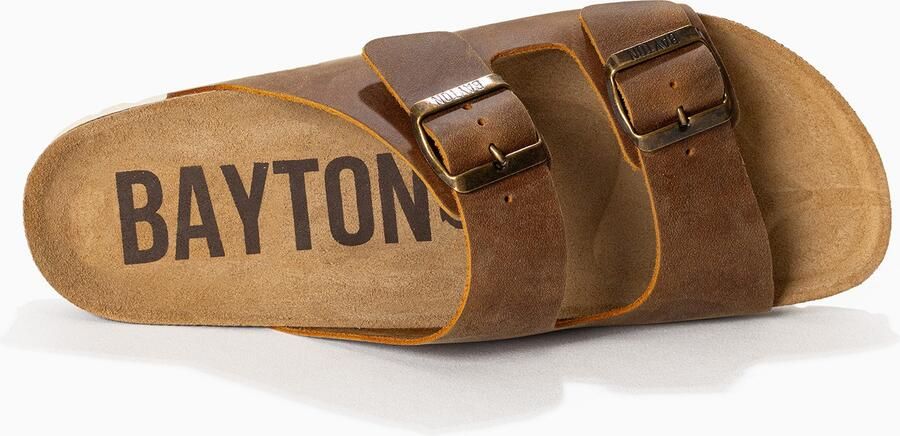 Bayton Muiltjes 'Atlas' camel - Foto 5