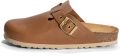 Bayton Muiltjes 'Milky' camel - Camel