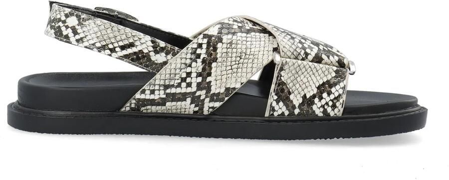 Bianco Sandalen met riem 'Oslo' bruin lichtgrijs zwart wit - Foto 3