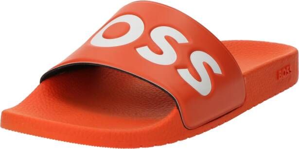 Boss Muiltjes 'Aryeh_Slid'