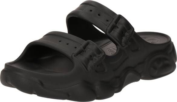 Buffalo Muiltjes 'Cld Ari'