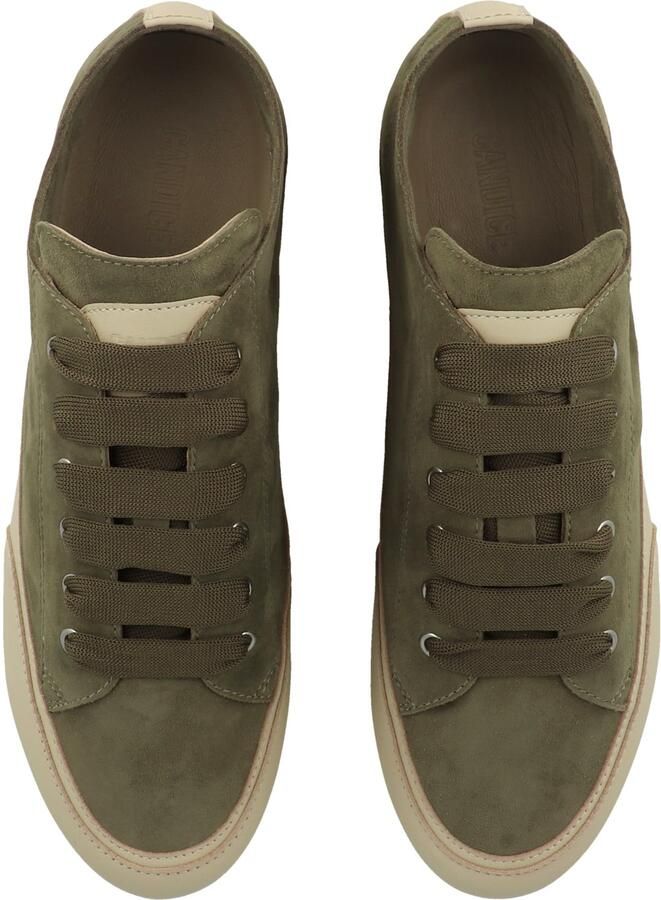 Candice Cooper Sneakers laag 'Twist S.' olijfgroen - Foto 2