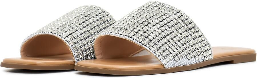 Cesare Gaspari Luxe Platte Zool Pantoffels Zilver Gray Dames - Foto 6
