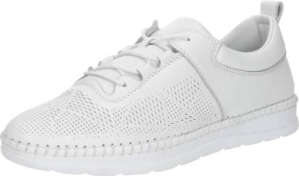 COSMOS COMFORT Sneakers laag