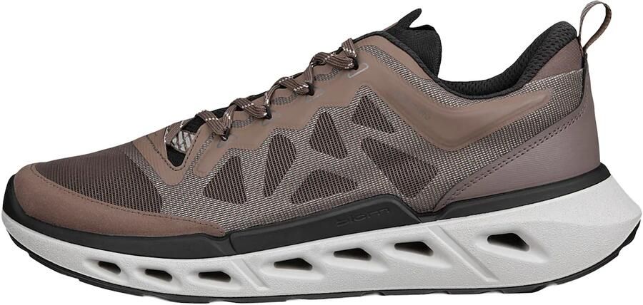 ECCO Sneakers laag 'Biom 720' bruin chocoladebruin lichtbruin