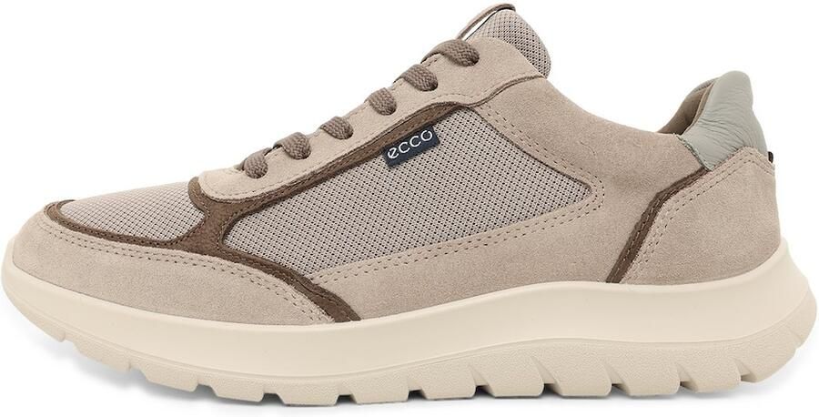 ECCO Sneakers laag 'City Stride' stone grey