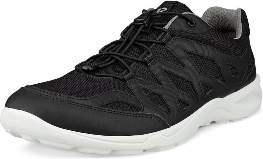 ECCO Sneakers laag 'Terracruise LT' zwart