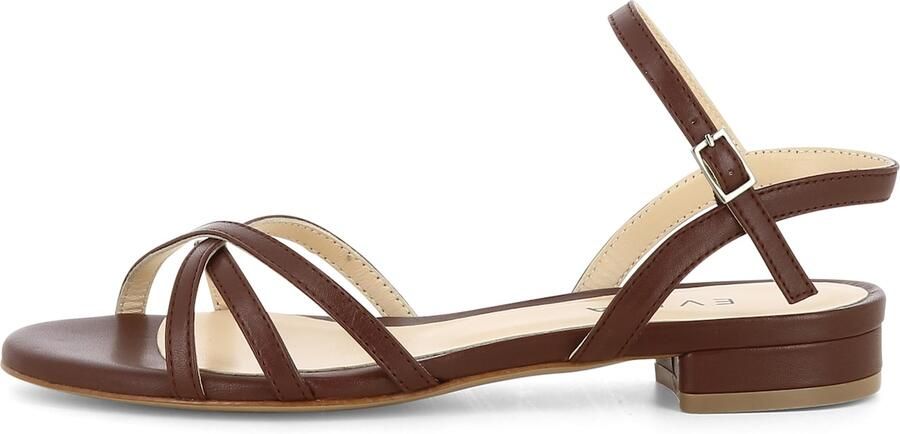 EVITA Sandalen met riem 'SALVINA' bruin