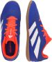 Adidas Perfor ce Predator Club senior zaalvoetbalschoenen kobaltblauw wit oranje - Thumbnail 21