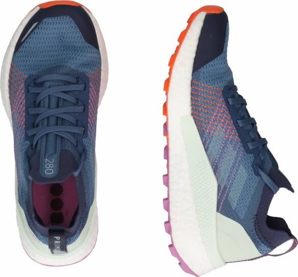adidas Terrex Lage schoen