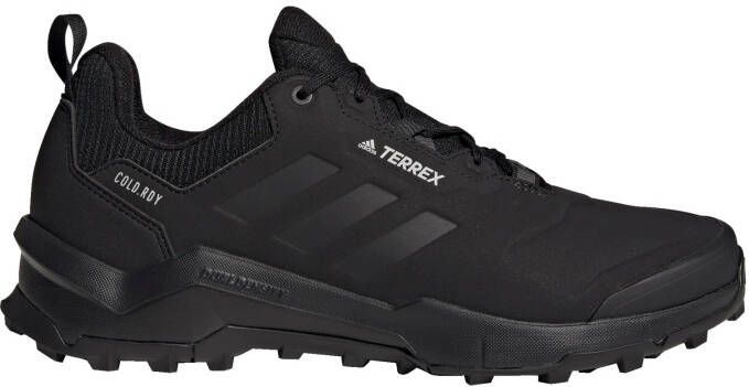 adidas Terrex Lage schoen